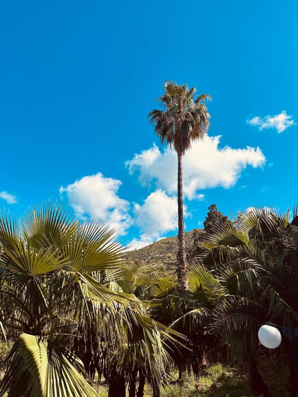 Villa Tiche Cefalù Dış mekan fotoğraf