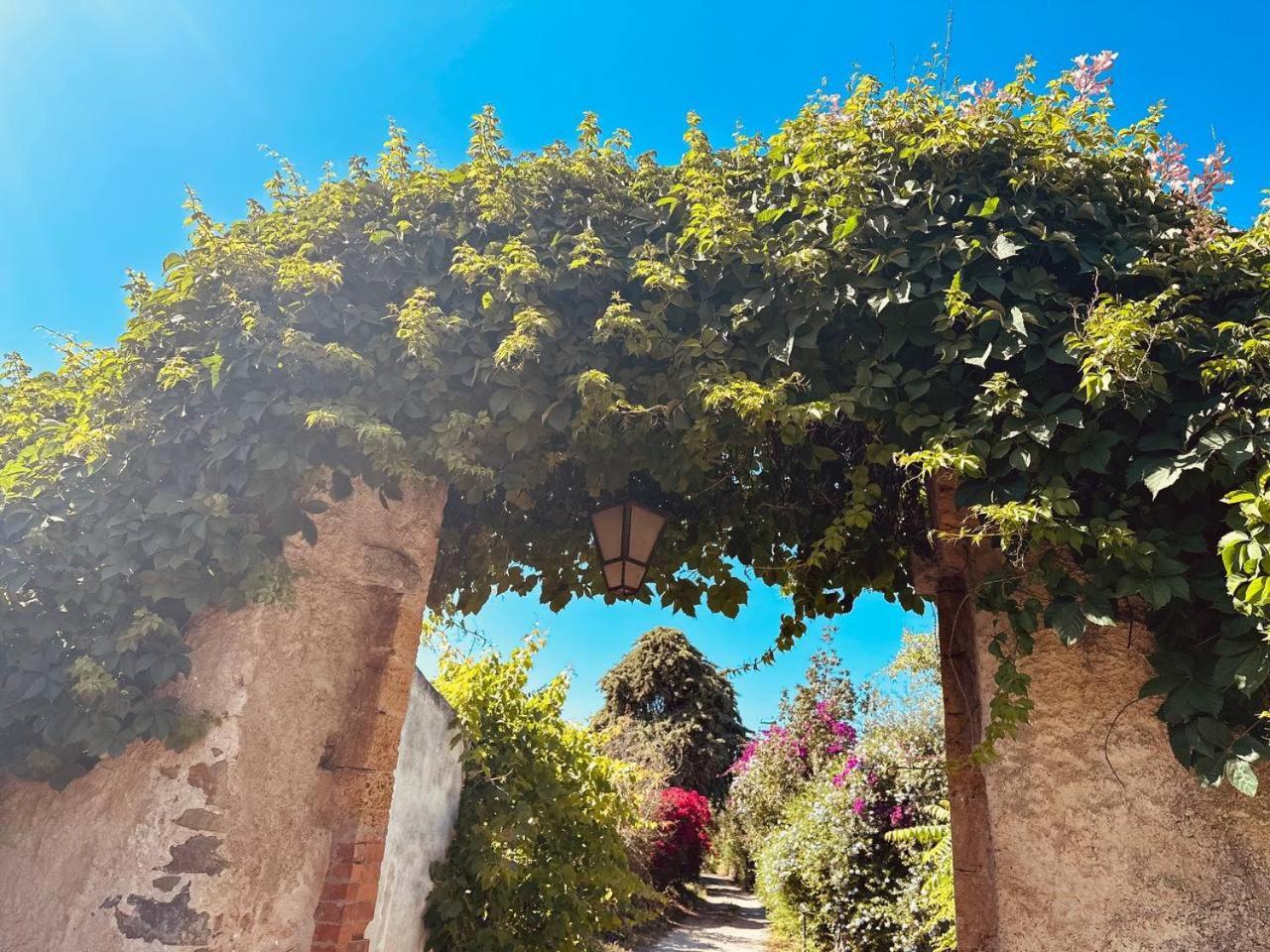 Villa Tiche Cefalù Dış mekan fotoğraf