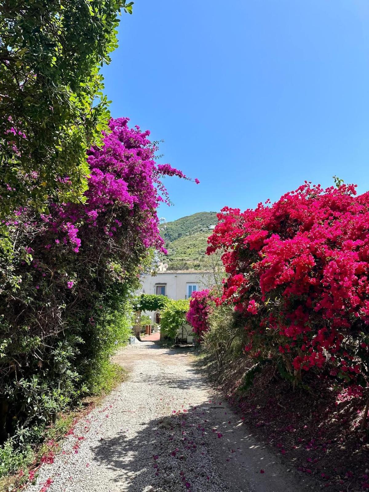 Villa Tiche Cefalù Dış mekan fotoğraf