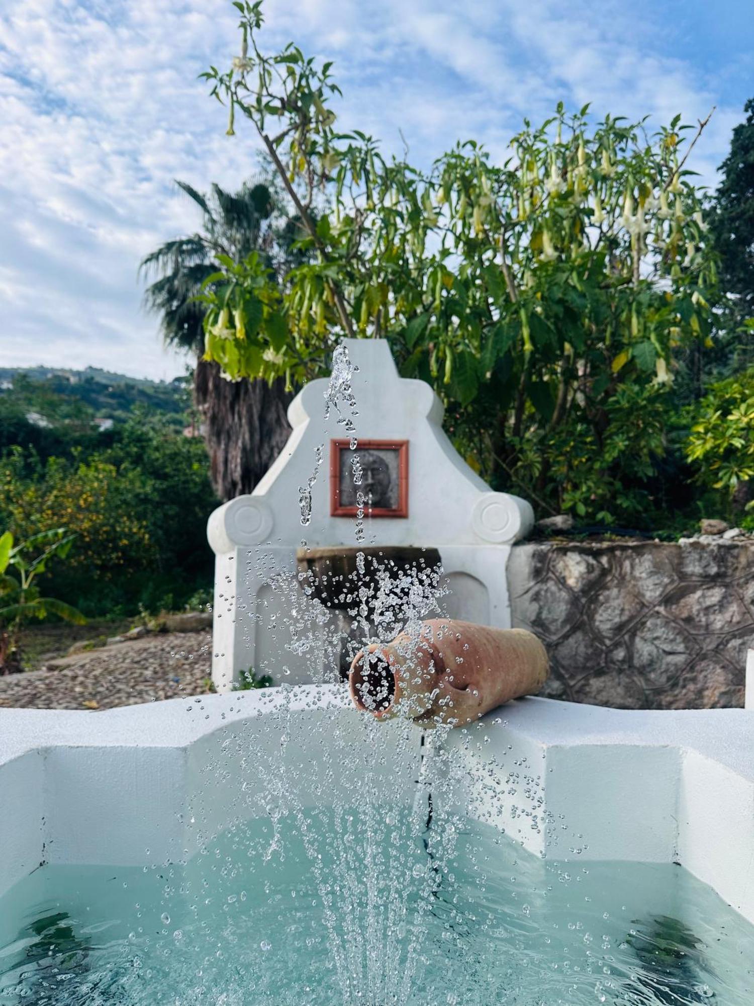 Villa Tiche Cefalù Dış mekan fotoğraf